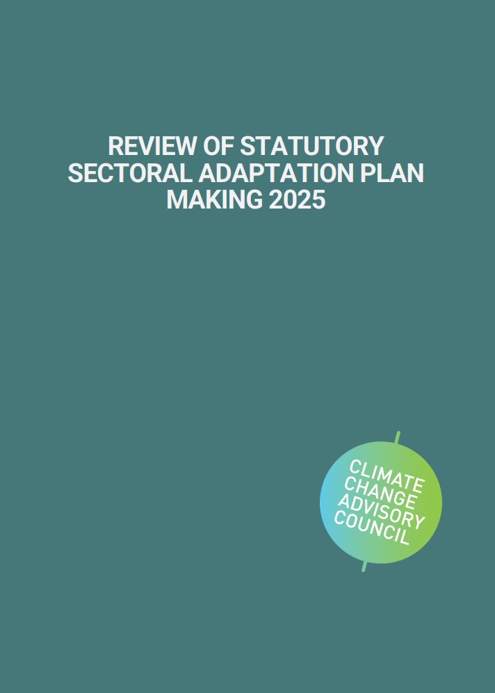 2025 SAPS review cover